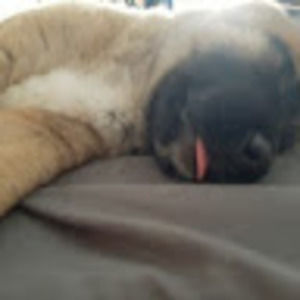 Meet your Posher, Courtney